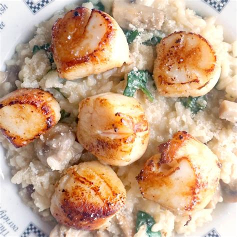 Scallop Mushroom Risotto My Gorgeous Recipes