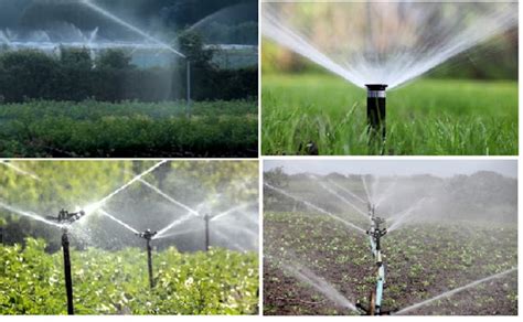 Types And Features Of Sprinkler Or Overhead Irrigation System