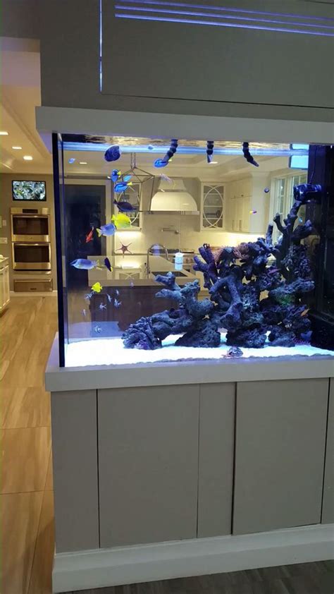 20 Amazing Aquarium Wall Dividers For Home And Office OBSiGeN