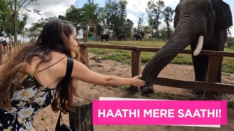 A Magical Experience With Elephants At Dubare Elephant Camp Coorg YouTube