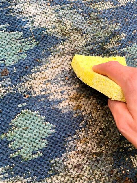 How To Clean Mold And Mildew From Outdoor Carpet