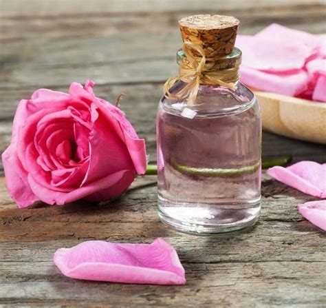 गुलाब जल से बनाएं टोनर जानें इसके फायदे How To Make Rose Water Toner