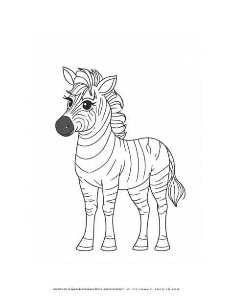 Zebra Coloring Pictures For Kids Coloring Pages