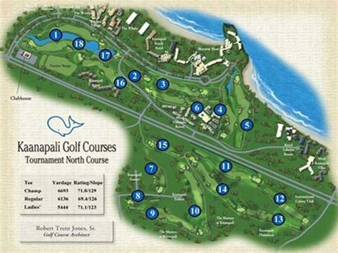 Kaanapali Royal Lahaina Golf Course Information And Reviews