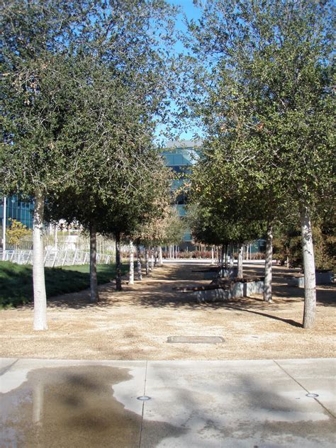 LA landscape: Playa Vista Central Park: A Park Waiting for People