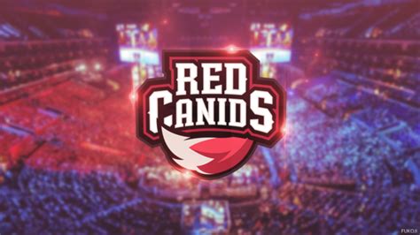 Red Canids Cblol Wallpapers HD Desktop And Mobile Backgrounds