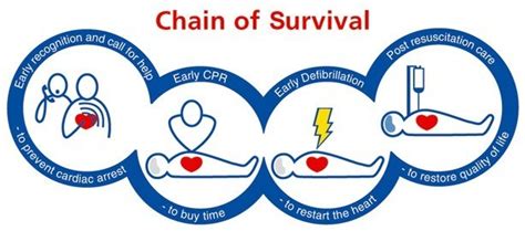 What Is Cpr A Guide To Adult And Child Resuscitation Hts Training