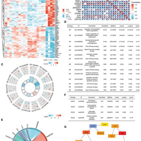 Figure Common Degs In Ipah And Cteph And The Hub Genes Of Common Degs