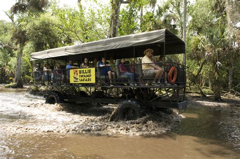 Billie Swamp Safari Ponto Miami O Que Fazer Em Miami Guia De Miami