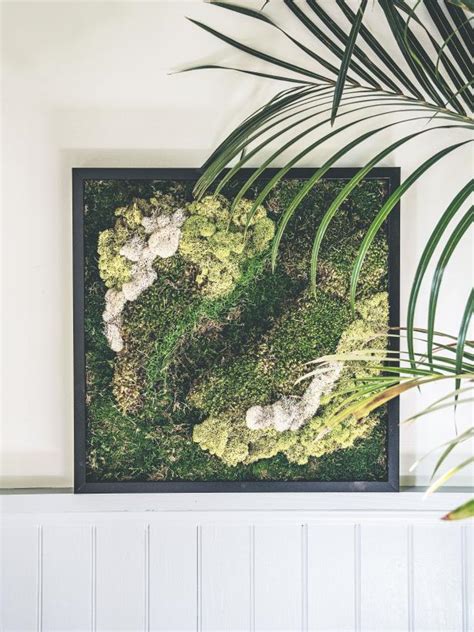 Make Preserved Moss Wall Art Hgtv