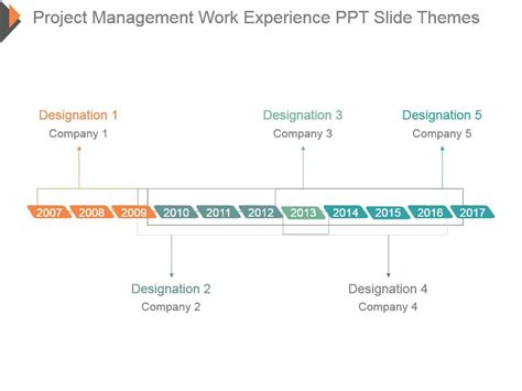 Project Management Work Experience Ppt Slide Themes Presentation