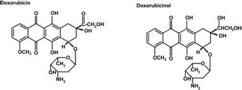 Chemical Structure Of Doxorubicin And Its Metabolite Doxorubicinol