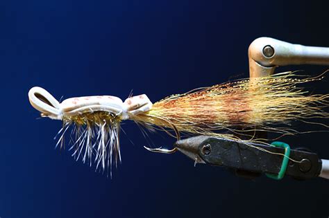 When And How To Use A Gurgler Fly Florida Sportsman