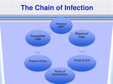 Chain Of Infection Powerpoint