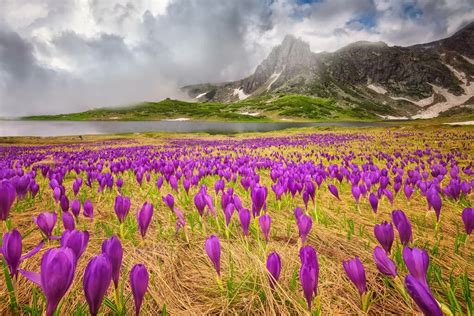 Bulgaria Mountains