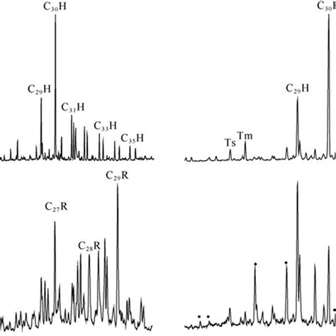 Distribution Of Steranes Mz 217 Extended Tricyclic Terpanes Download Scientific Diagram