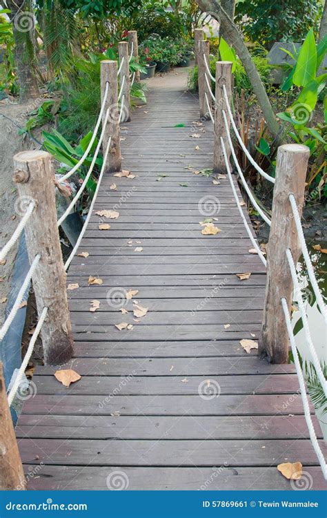 Ponte De Madeira Da Selva Da Corda Imagem De Stock Imagem De Exterior