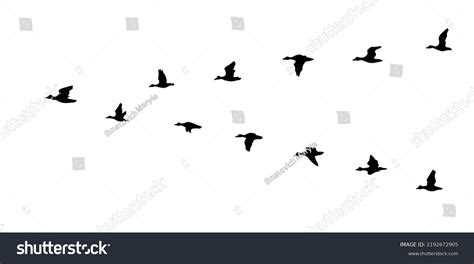 Flying Duck Silhouette Vector Illustration Stock Vector (Royalty Free ...