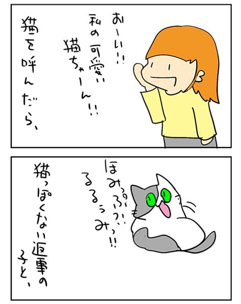 かけひろりん。 おーい、猫ちゃーん。