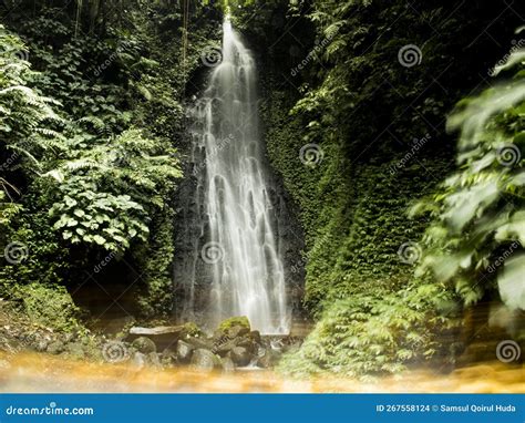 Srambang Park Ngawi Waterfall Stock Photo Image Of Deciduous Groove