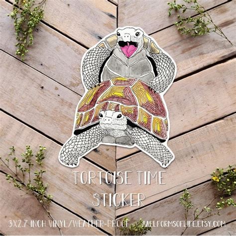 Tortoise Time Sticker Funny Turtle Sex Sexy Tortoise Art Etsy