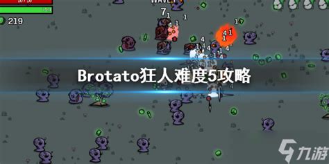 《brotato》狂人怎么玩 狂人难度5攻略玩法brotato九游手机游戏