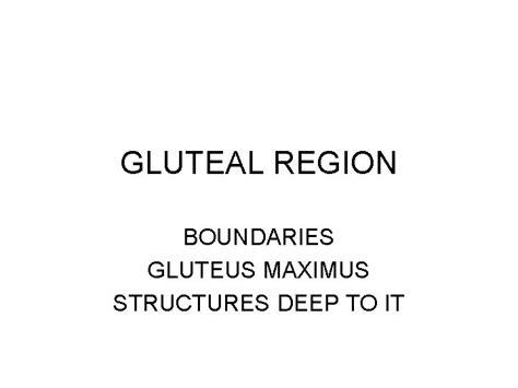 Gluteal Region Boundaries Gluteus Maximus Structures Deep To