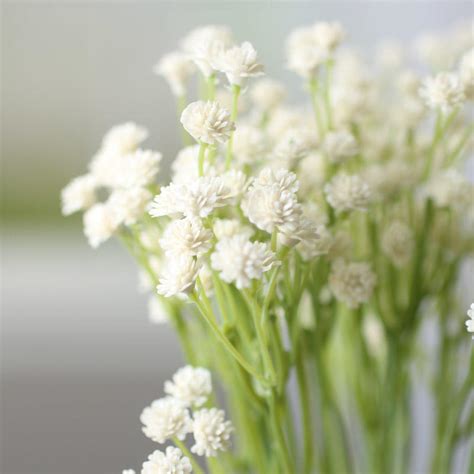 real touch cream babys breath bush bushes bouquets florals