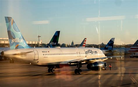 Doj Seeks To Block Spirit Jetblue Merger The American Conservative