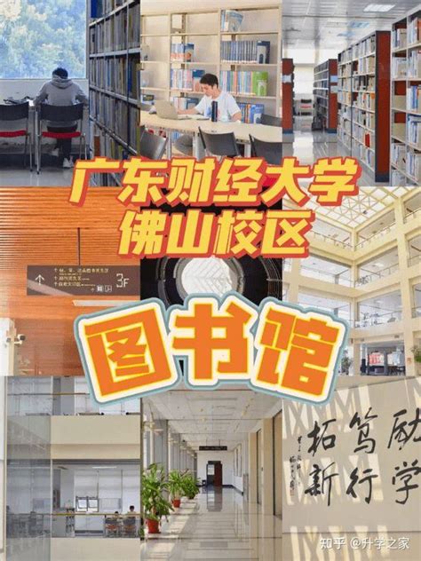 2023年广东财经大学成人高考招生简章及报考流程 知乎