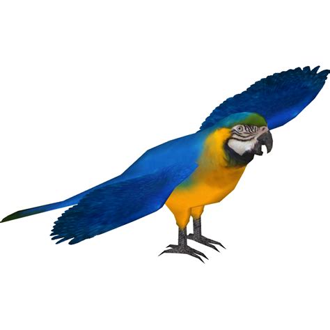 Blue And Yellow Macaw PNG Photo PNG All