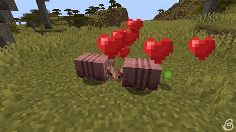 How To Breed Armadillos In Minecraft Beebom