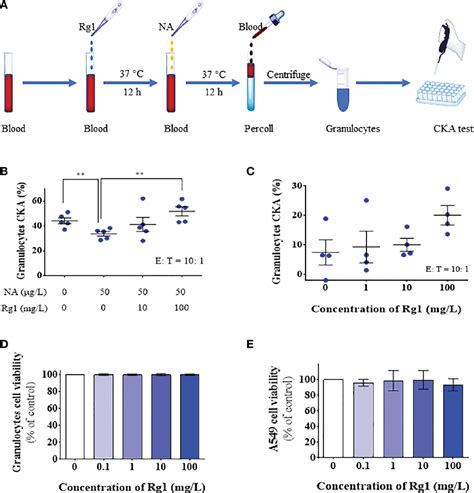 Figure 2 From Ginsenoside Rg1 As A Promising Adjuvant Agent For