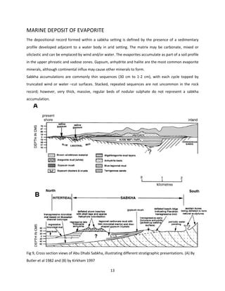 Evaporite mode of formation, characteristics and economic potential | PDF