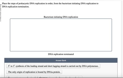 Solved Place The Steps Of Prokaryotic DNA Replication In Chegg