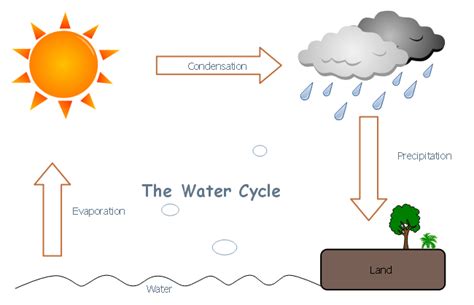 Simplified Diagram Of The Water Cycle Cycle Water Diagram Cl