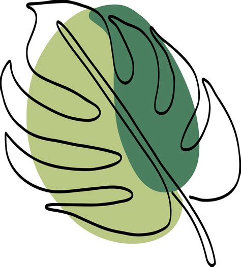 Simplicity Monstera Leaf Freehand Drawing 22962728 PNG