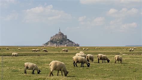 Wandelen In Normandi Douanierspad Gr Outdoordichtbij