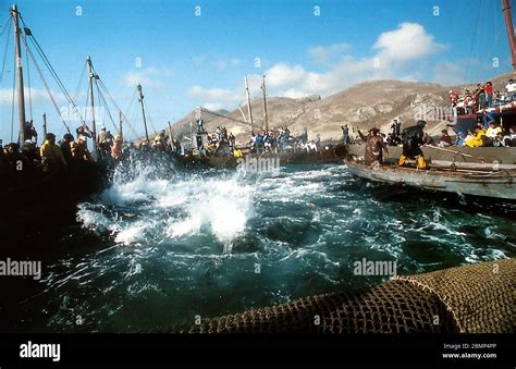 Aegadian Islands Sicily Italy May Tonnara And Mattanza Tuna