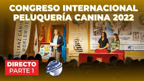 Congreso Internacional De Peluquer A Canina Parte Alianz