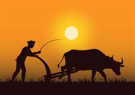 Indian Farmer Ploughing Clipart