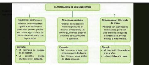 Realice Un Organizador Gr Fico Con El Sin Nimo Y Antonino Y Ejemplos