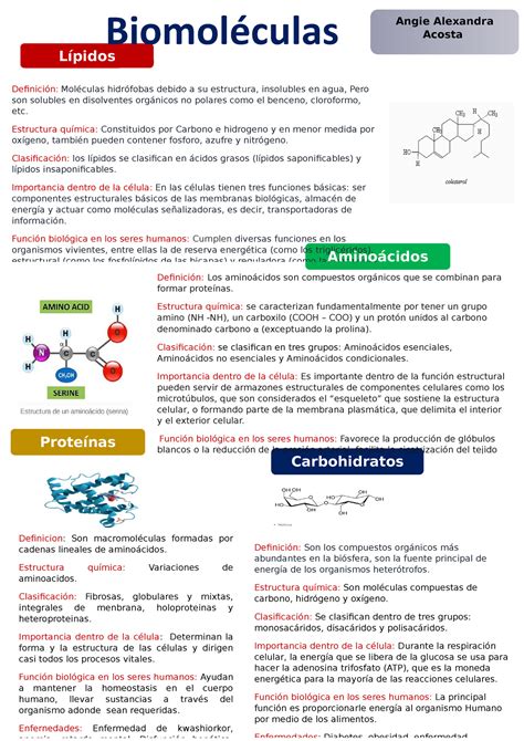 Infografia Biomoleculas Angie Acosta Angie Alexandra Acosta