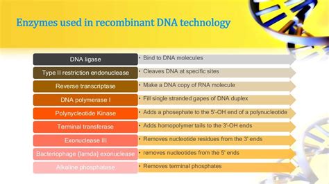 Recombinant dna technology