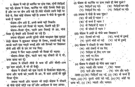 Ncert Solutions For Class 6 Hindi Vasant Book Chapter 3 नादान दोस्त Ncert Board Solution