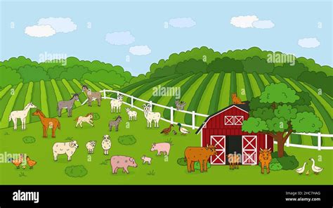 Set of cute outline vector cartoon pet animals at the countryside farm ...