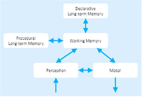 Tulving S Long Term Memory Model Depicts Tulving S Long Term Memory