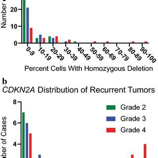 High Percentage CDKN2A Homozygous Deletion Is A Rare Event In Primary