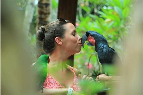 Bersafari Alam Liar Dengan Ragam Fauna Di Wildlife Park Lombok