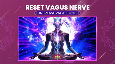 Reset Vagus Nerve Get In Tune With Your Body Increase Vagal Tone